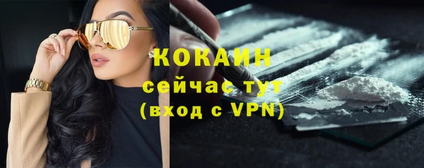 СК Горняк