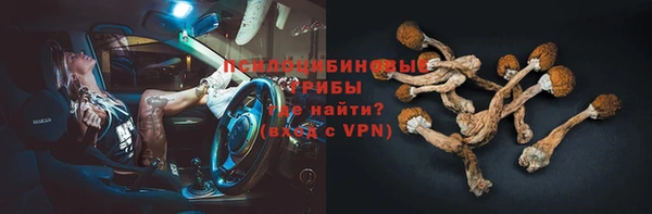 mdma Горнозаводск