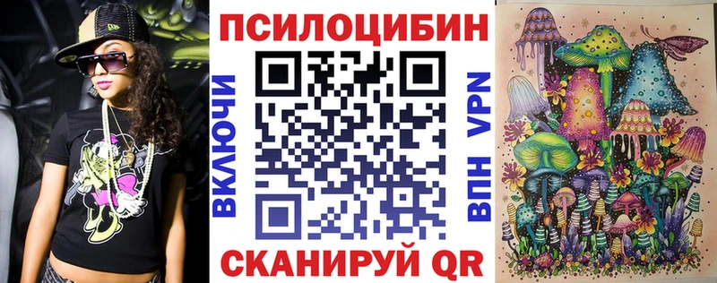 как найти наркотики  Электрогорск  Галлюциногенные грибы Psilocybine cubensis 
